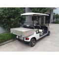 2 seats electric golf cart with cargo box