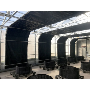 Growing Light Deprivation Greenhouse with Blackout System