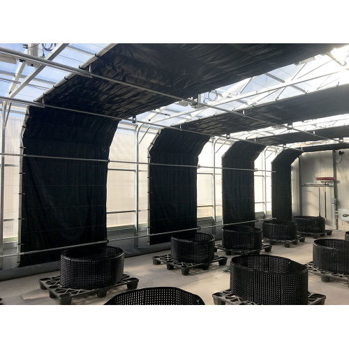 Inner all black medical planting greenhouse