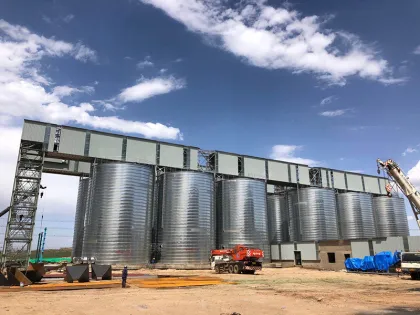 Mongolia Steel Slag Silo Concrete Foundation