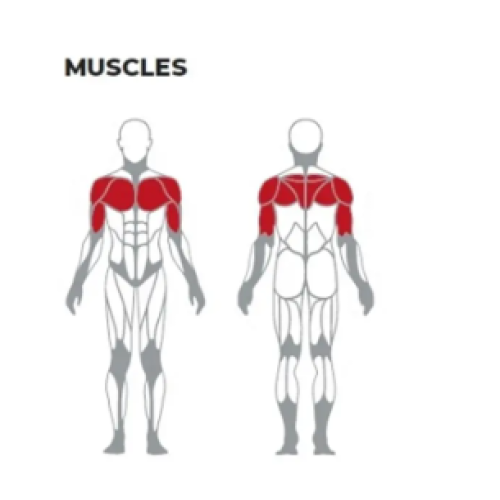 Gym Equipment Decline Chest Press Machine for Building