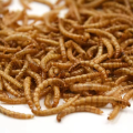 Natural Nutrition Dried Mealworms Protein Powder