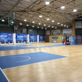 PVC Sports Flooring na podłogę siłowni/siłowni/podłogę wielu celów