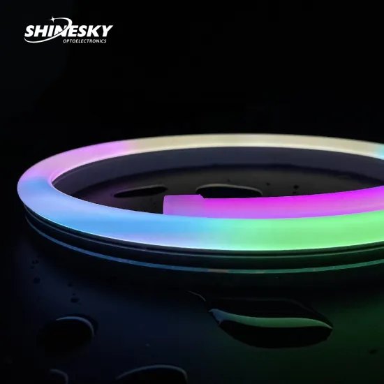 LED Neon Strip Light with Flexible Silicone Tube for Festive and Entertainment Settings (12V/24V)