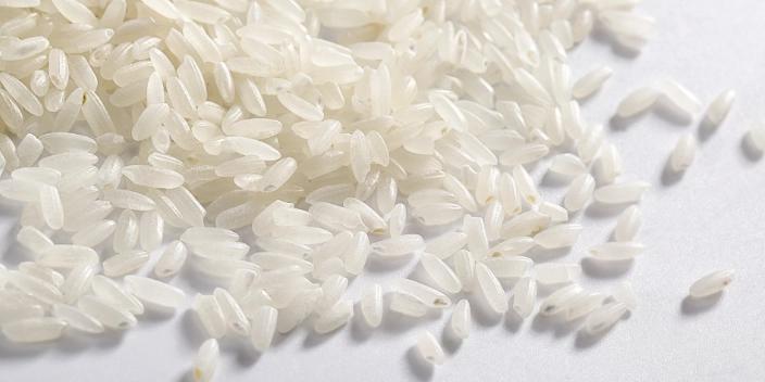 rice food