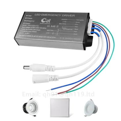 Emergency light conversion driver