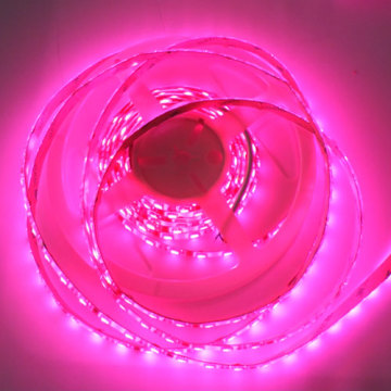 SMD5050 30LED/M RGB LED Flexible Strip