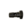 Engine Parts Pipe Joint Screw