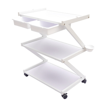 Beauty Salon Trolley Storage Cart