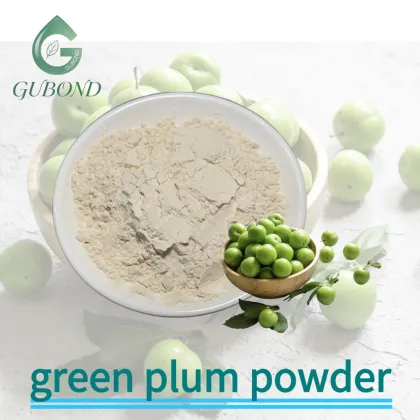 Green Plum Spray Dried Fruit Powder