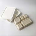 Large 5 compartment tray