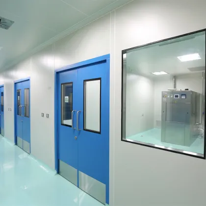 Powder Coated Clean Room Doors