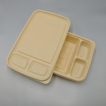 PLA Disposable Takeaway Food Containers