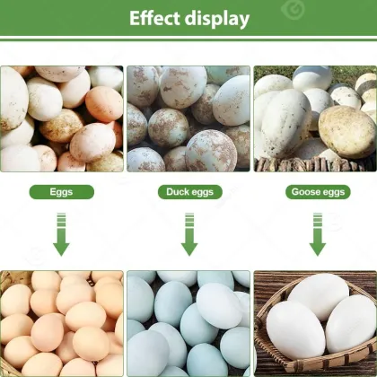 Semi-Automatic Quail and Chicken Egg Washer for Farms