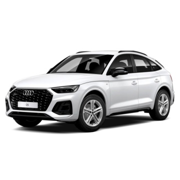 SAIC AUDI Q5 40 E-TRON: High Speed SUV EV in Factory Pure Electric