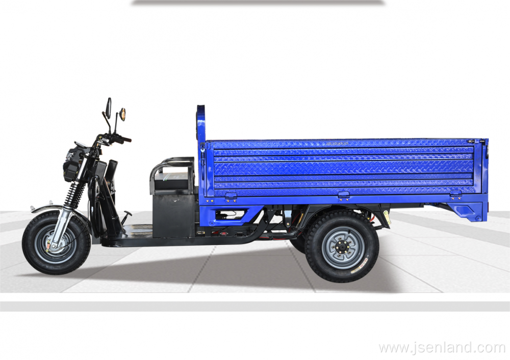 new style electric cargo Tricycle