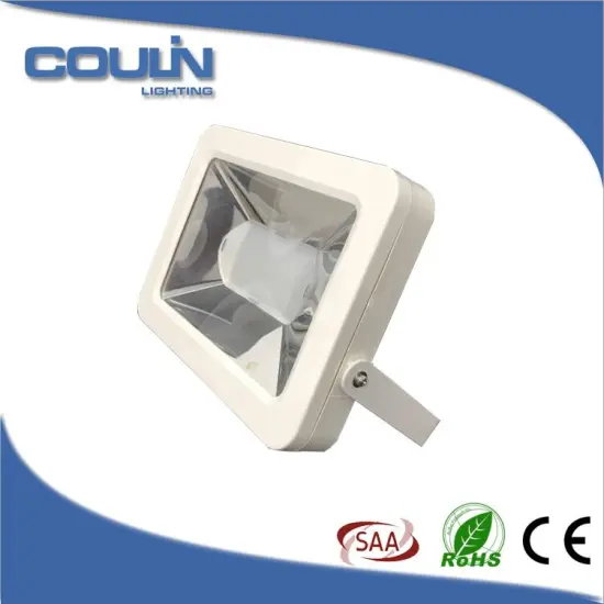 Coulin 30W Most Powerful LED Flood Light, LED Flood Lights Dual