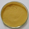 Extracto de bálsamo de limón en polvo de ácido rosmarínico 2% -10% HPLC