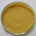 Zitronenbalsamextrakt Rosmarinsäurepulver 2% -10% HPLC