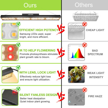 Las plantas de interior greenhosue de espectro completo crecen ligeras