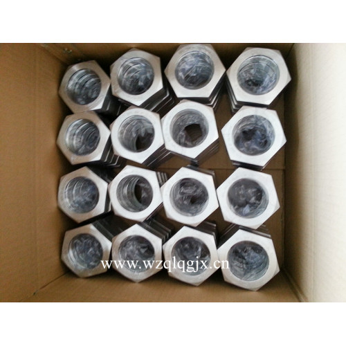 Sanitary stainless steel Fitting Hex Union Nut