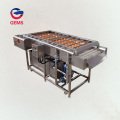 Brush Potato Cleaning Machine Onion Cleaning Machine