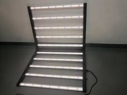 1000W 10BAR Blue IR 4*6ft Gavita Grow Light
