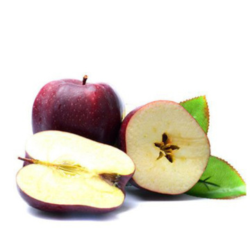 bagged gala paper gala apple fruit  price