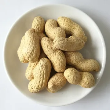 Import export raw roasted peanut in shell
