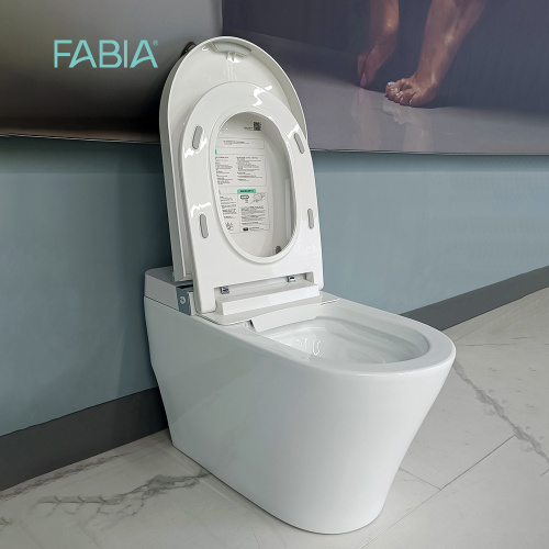 Electric Smart Toilet With Bidet Wash Function