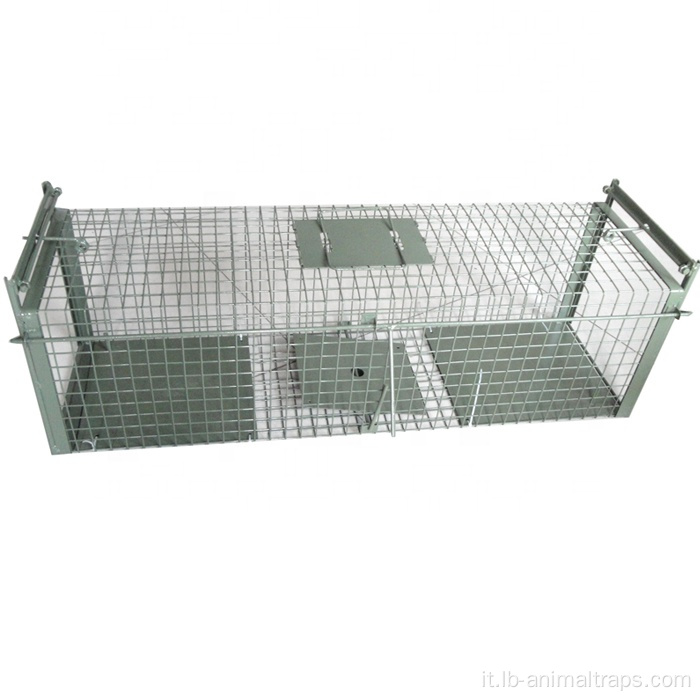 Double Door Live Live Animal Trap Cage