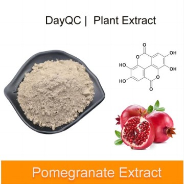 High Quality Plant Extract Pomegranate Extract Powder