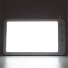 RECTANGE GLASSE DE LAMPE DE THÉRAPIE TAD