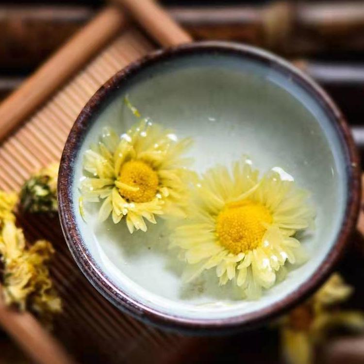 Chrysanthemum Extract