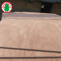 Door size Okoume plywood for sales