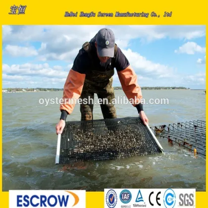Oyster mesh ,Plastic mesh for oyster farm