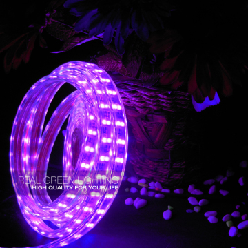 110V/220V 5050SMD Purple Double Sided LED Strip Light