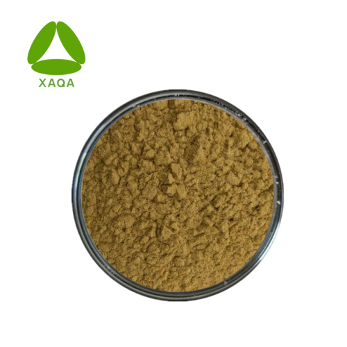 Soil Conditioner Flax Seed Extract SDG Flax Lignans 40% Powder Supplier