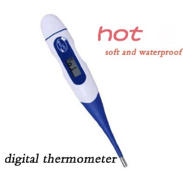 Flexible Digital Thermometers