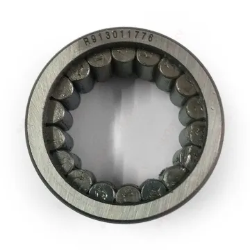 R913011776 Chrome Steel Cylindrical Roller Bearing 38x54x40 mm HXHV for Hydraulic Pump