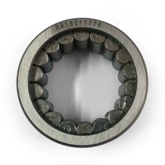 R913011776 Chrome Steel Cylindrical Roller Bearing 38x54x40 mm HXHV for Hydraulic Pump