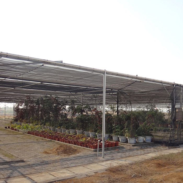External and Internal Sun Shading for Greenhouse