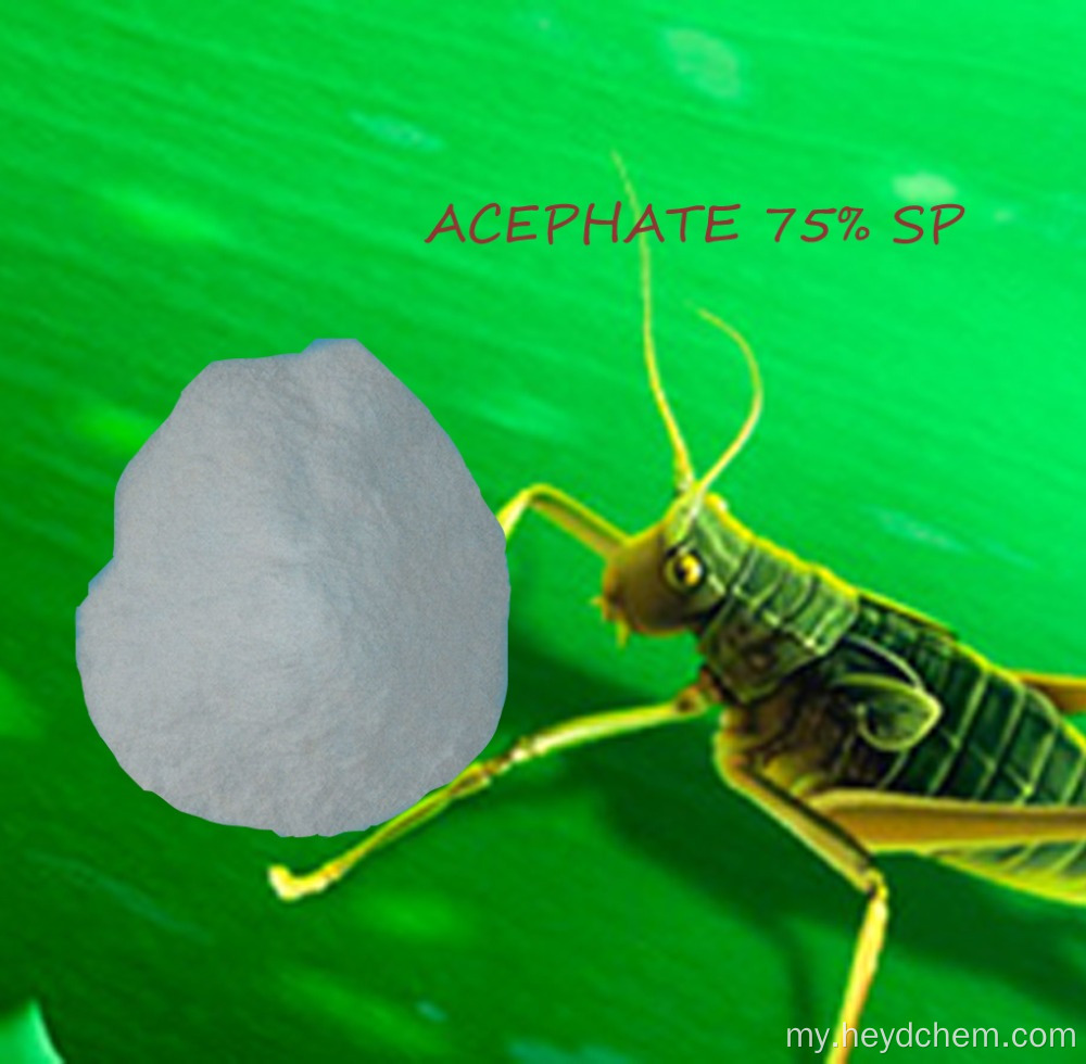 Acephate 75% SP ၏အကောင်းဆုံးစျေးနှုန်း