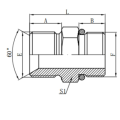 Raccordo per raccordo O-ring SAE maschio forgiato BSP 1BO