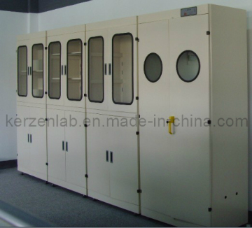 Hot Sale Laboratory Gas Cabinet
