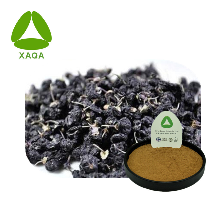 Black Goji Berry Black Wolfberry Extract Powder 10:1