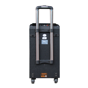 Temeisheng Professional Outdoor Portable Karaoke Speaker QX-1027