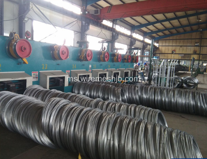 Steel Wire Rods-Galvanized Iron Wire