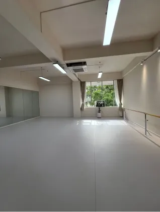 Dance room multi-style PVC sports floor