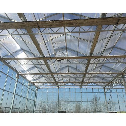 Polycarbonate Sheet & Glass Greenhouse